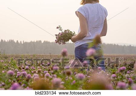 Picture - Caucasian woman picking flowers in field. Fotosearch