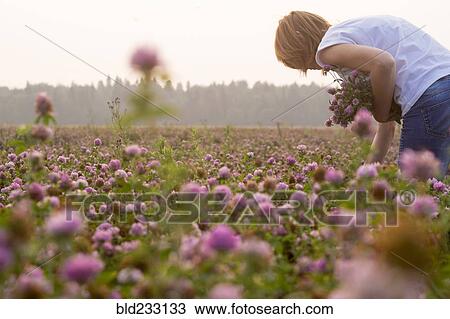 Stock Image - Caucasian woman picking flowers in field. Fotosearch