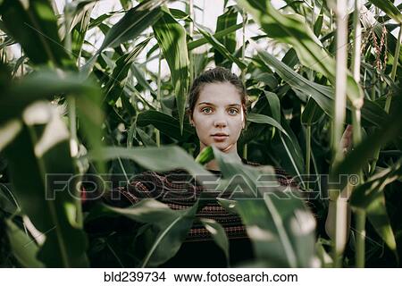 Caucasian woman standing in tall corn field View Large Photo Image Picture - Caucasian woman standing in tall corn field. Fotosearch