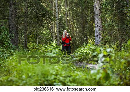 Caucasian woman using binoculars in forest View Large Photo Image Stock Photograph - Caucasian woman using binoculars in forest. Fotosearch