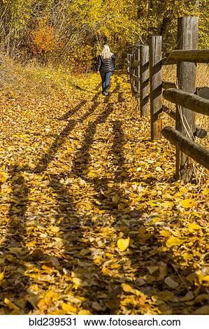 Stock Image - Caucasian woman walking near wooden fence in autumn. Fotosearch