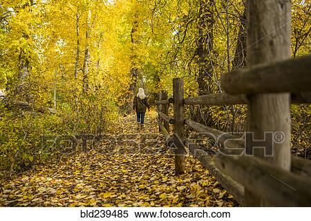 Stock Photography - Caucasian woman walking near wooden fence in autumn. Fotosearch