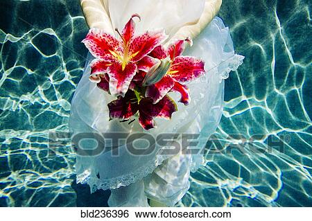 Caucasian woman wearing dress holding bouquet of flowers underwater View Large Photo Image Stock Photograph - Caucasian woman wearing dress holding bouquet of flowers underwater. Fotosearch