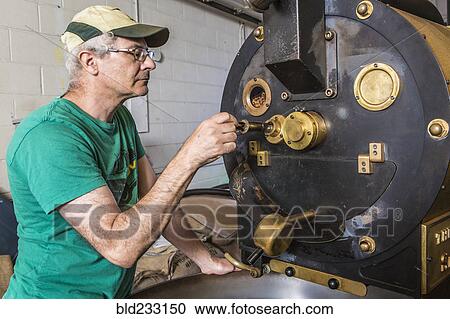 Stock Image - Caucasian worker checking coffee in roaster. Fotosearch