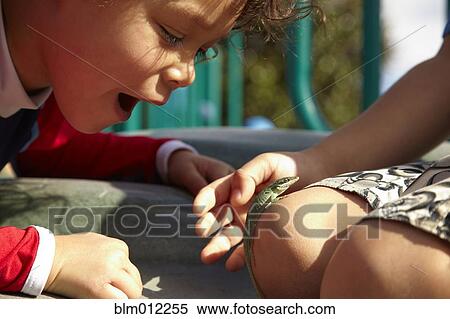Children looking at lizard View Large Photo Image Stock Photography - Children looking at lizard. Fotosearch