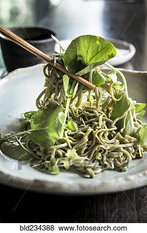 Chopsticks lifting soba salad noodles View Large Photo Image Stock Photo - Chopsticks lifting soba salad noodles. Fotosearch