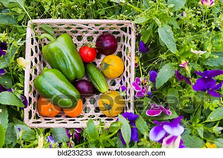 Close up of basket of fresh vegetables on flowers View Large Photo Image Stock Image - Close up of basket of fresh vegetables on flowers. Fotosearch