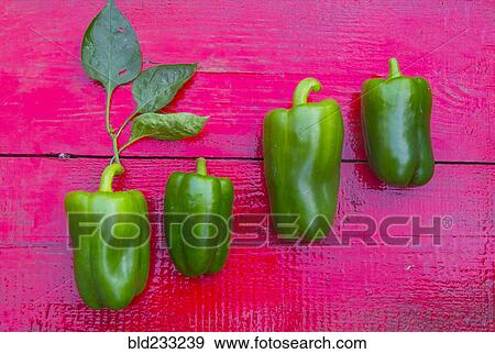 Close up of row of green peppers on red wooden table View Large Photo Image Stock Photo - Close up of row of green peppers on red wooden table. Fotosearch