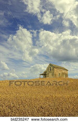 Clouds over remote wooden farmhouse View Large Photo Image Stock Photo - Clouds over remote wooden farmhouse. Fotosearch