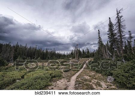 Stock Image - Clouds over trail in forest landscape. Fotosearch