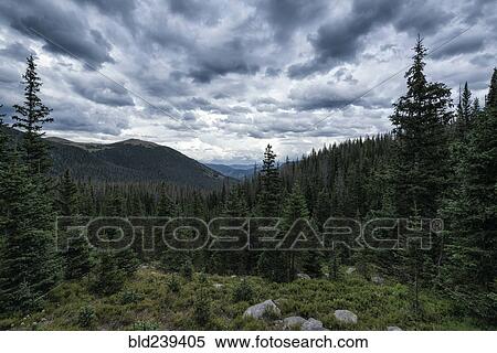 Stock Photography - Clouds over trees in mountain landscape. Fotosearch