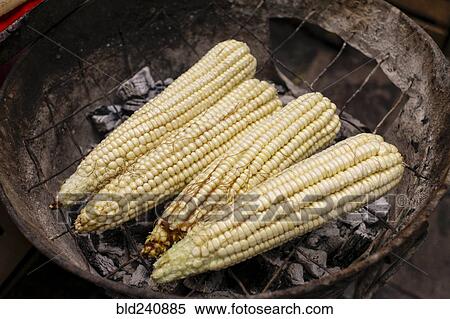 Stock Photography - Corn cobs on grille. Fotosearch