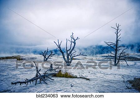 Stock Image - "Desolate cold landscape, Yellowstone National Park, Wyoming, United States". Fotosearch