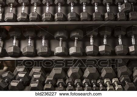 Stock Photo - Dumbbells on rack. Fotosearch