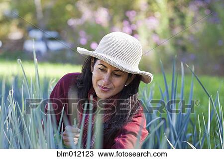 Ecuadorian woman gardening View Large Photo Image Stock Image - Ecuadorian woman gardening. Fotosearch