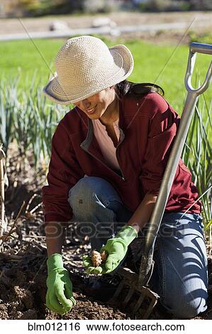 Ecuadorian woman gardening View Large Photo Image Stock Photograph - Ecuadorian woman gardening. Fotosearch