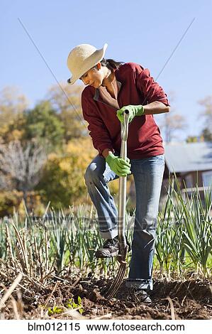 Stock Photography - Ecuadorian woman gardening. Fotosearch