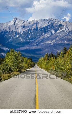 Stock Image - Empty tree-lined road to mountain. Fotosearch