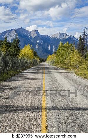Empty tree-lined road to mountain View Large Photo Image Stock Photography - Empty tree-lined road to mountain. Fotosearch