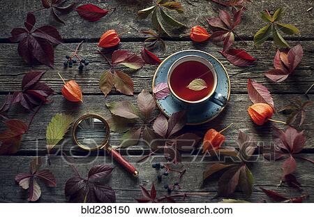 Fallen leaves and berries on wooden table with tea and magnifying glass View Large Photo Image Stock Image - Fallen leaves and berries on wooden table with tea and magnifying glass. Fotosearch