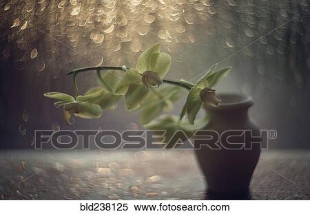 Flower in vase View Large Photo Image Stock Photography - Flower in vase. Fotosearch