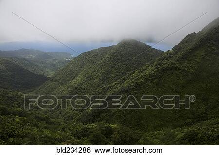 Fog over lush green mountains View Large Photo Image Stock Photograph - Fog over lush green mountains. Fotosearch