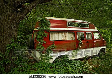 Foliage growing on abandoned camper van in forest View Large Photo Image Stock Photograph - Foliage growing on abandoned camper van in forest. Fotosearch