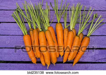 Fresh carrots on purple wooden table View Large Photo Image Stock Photo - Fresh carrots on purple wooden table. Fotosearch