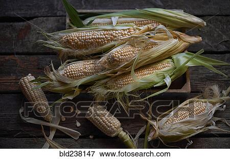 Stock Photo - Fresh corn on wooden table. Fotosearch