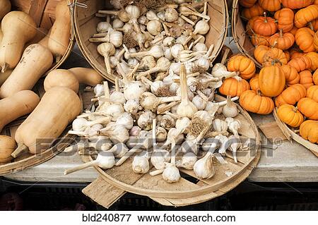 Stock Photo - "Garlic, miniature pumpkins and squash at market". Fotosearch