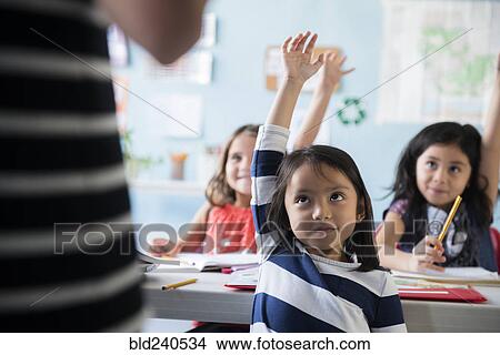 Girls raising hand for teacher in classroom View Large Photo Image Picture - Girls raising hand for teacher in classroom. Fotosearch