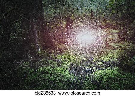 Stock Image - Glowing connected dots hovering in forest. Fotosearch