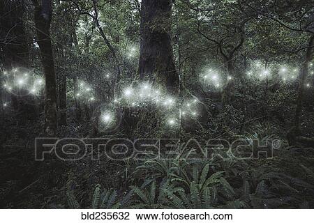 Glowing spheres hovering in forest View Large Photo Image Stock Image - Glowing spheres hovering in forest. Fotosearch