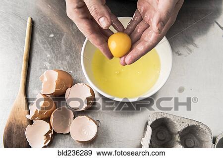 Hands holding egg yolk View Large Photo Image Stock Photo - Hands holding egg yolk. Fotosearch