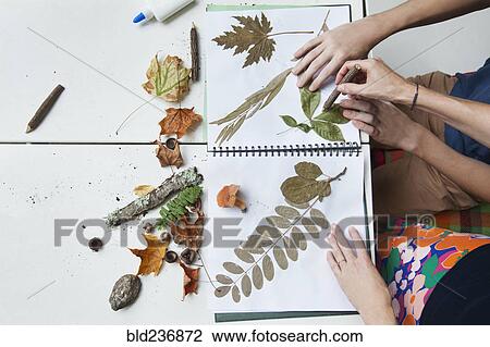Stock Image - Hands of Caucasian mother and son with nature scrapbook outdoors. Fotosearch