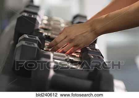 Hands of Mixed Race woman reaching for dumbbells View Large Photo Image Stock Image - Hands of Mixed Race woman reaching for dumbbells. Fotosearch
