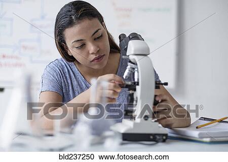 Hispanic woman adjusting microscope View Large Photo Image Stock Image - Hispanic woman adjusting microscope. Fotosearch