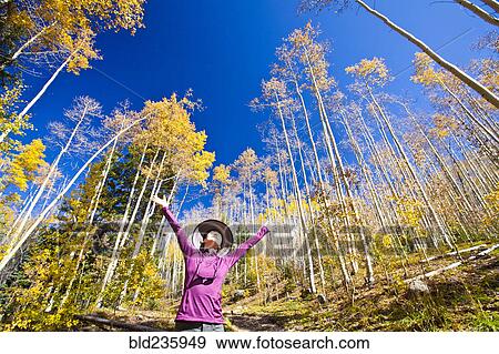 Japanese woman celebrating in forest View Large Photo Image Stock Photo - Japanese woman celebrating in forest. Fotosearch