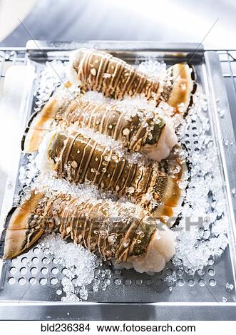 Lobster tails on ice View Large Photo Image Picture - Lobster tails on ice. Fotosearch