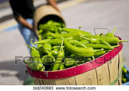 Stock Image - Man pouring green peppers into basket. Fotosearch