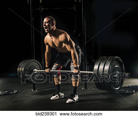 Man screaming while lifting heavy barbell in gymnasium View Large Photo Image Stock Image - Man screaming while lifting heavy barbell in gymnasium. Fotosearch