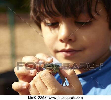 Mixed race boy looking at lizard View Large Photo Image Stock Image - Mixed race boy looking at lizard. Fotosearch