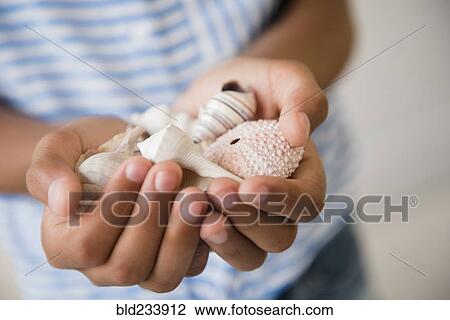 Stock Image - Mixed Race girl holding handful of seashells. Fotosearch