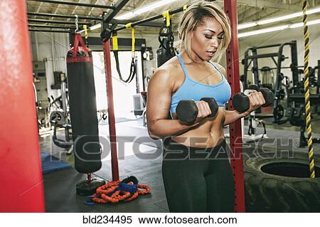 Mixed Race woman lifting dumbbells in gymnasium View Large Photo Image Stock Photography - Mixed Race woman lifting dumbbells in gymnasium. Fotosearch