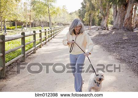 Stock Photo - Mixed race woman walking dog in park. Fotosearch