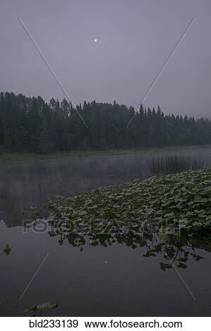 Moon over foggy river View Large Photo Image Stock Photo - Moon over foggy river. Fotosearch