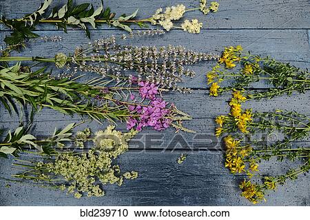 Stock Image - Multicolor flowers laying on wooden table. Fotosearch