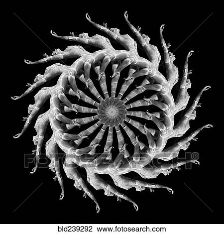 Stock Image - Multiple exposure of Caucasian woman swimming in spiral. Fotosearch