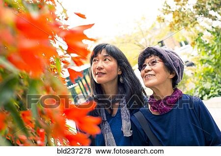 Stock Photo - Older Japanese mother and daughter admiring autumn leaves. Fotosearch