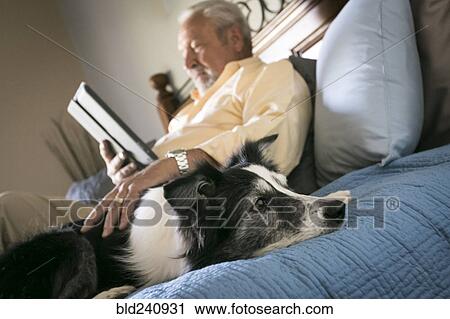 Older man laying on bed with dog reading digital tablet View Large Photo Image Stock Image - Older man laying on bed with dog reading digital tablet. Fotosearch